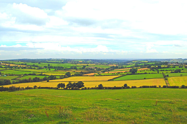 Wide Cropland with a Sunny Fair Weather